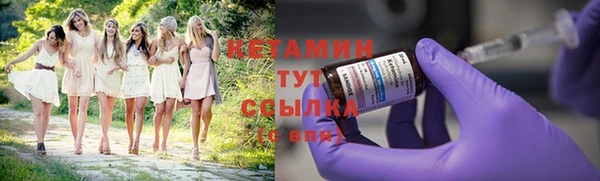 PSILOCYBIN Няндома