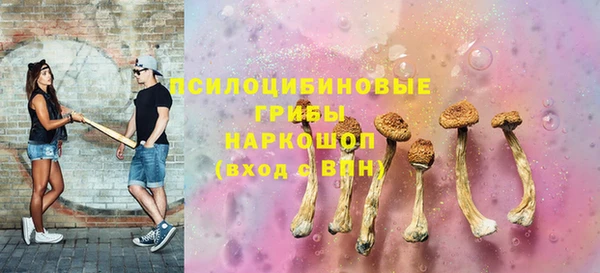 мдпв Нягань