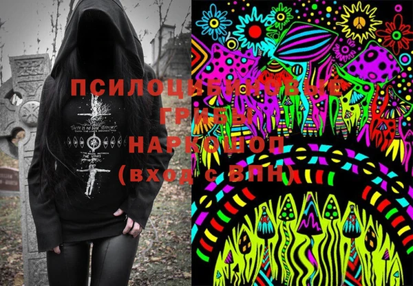 PSILOCYBIN Няндома