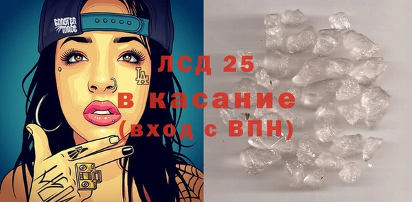 PSILOCYBIN Няндома